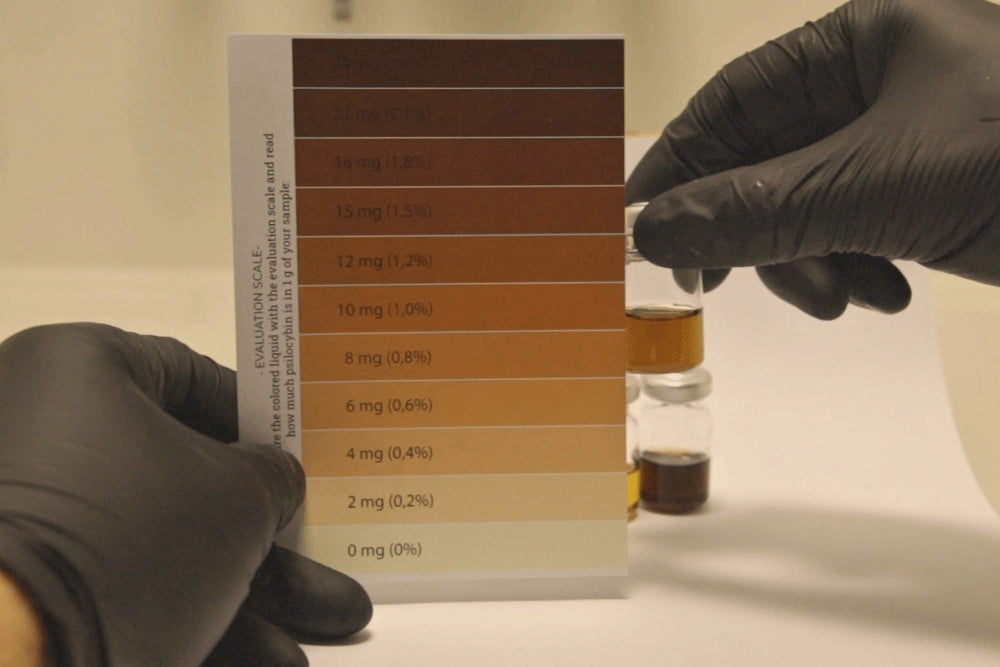 Evaluación del resultado contra la carta de color